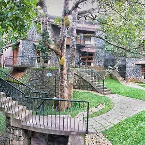 3* Bed & Breakfast Wildernest