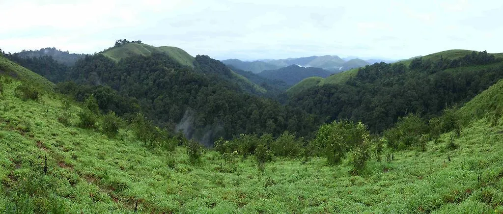 Springdale Heritage Thekkady